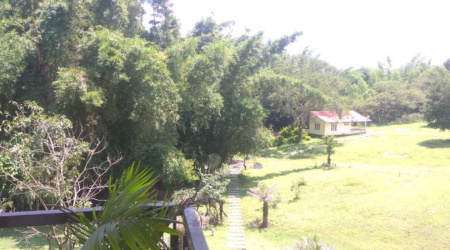 Group Stay in Masinagudi, Cottages in Masinagudi