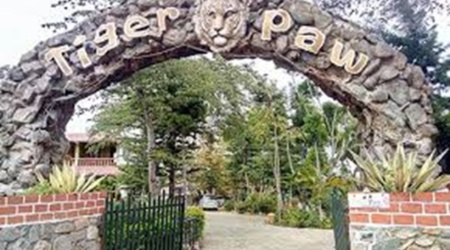 Masinagudi Resorts, Group Stay in Masinagudi