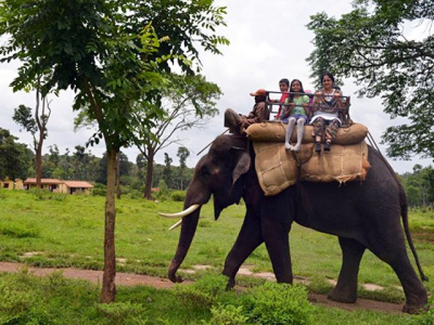 dubare-elephant-camp