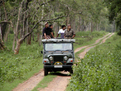 Masinagudi Group Stay, Cottages in Masinagudi