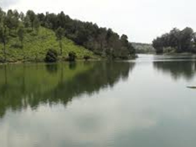 Masinagudi Group Stay, Cottages in Masinagudi